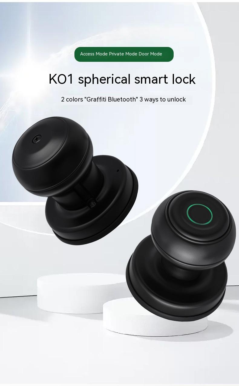 Security Door Smart Fingerprint Lock - Leilani Your Home Girls' Shop